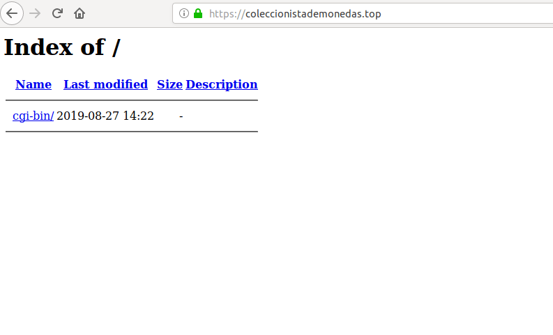 Vista del nuevo dominio con SSL instalado.