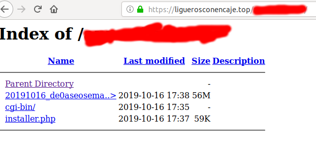 Vista del directorio nuevo accediendo de forma indirecta con el dominio principal del hosting
